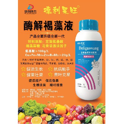 含氨基酸水溶肥料-酶解褐藻液