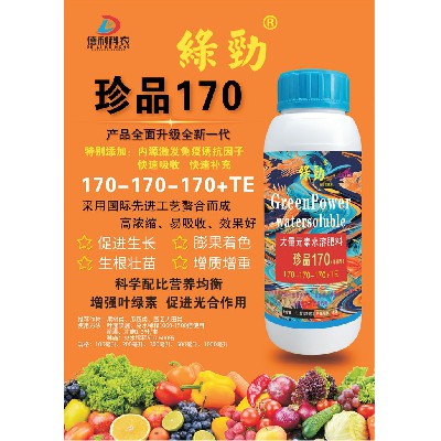 珍品170
