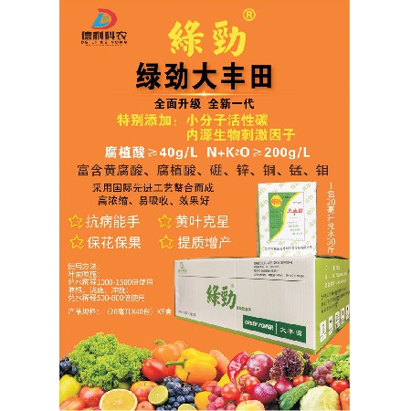 绿劲大丰田2